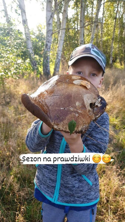 Aris Pokoje Goscinne Wojnicz Buitenkant foto